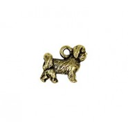 Shih Tzu Dog #6473 Shih Tzu Dog #6473