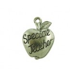 Special Teacher Apple #166