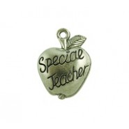 Special Teacher Apple #166