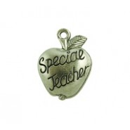 Special Teacher Apple #166 Special Teacher Apple #166