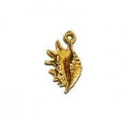 Spider Conch Shell #4131 Spider Conch Shell #4131
