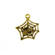 Spider On Web #6287 Spider On Web #6287