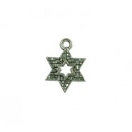 Star of David with Holy Wall #4701
