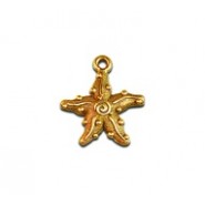 Starfish #4179 Starfish #4179