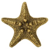 Starfish (Large) #6518