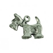 Terrier #65 Terrier #65