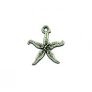 Thin Starfish #4411 Thin Starfish #4411