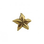 Tiny Starfish Bead #3894