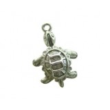 Turtle #1069NM