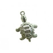 Turtle #1069NM Turtle #1069NM