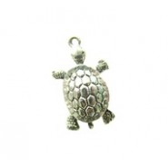 Turtle #210 Turtle #210