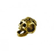 Vertical Hole Skull Head #6307 Vertical Hole Skull Head #6307