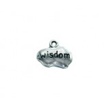 "Wisdom" Tag #3949