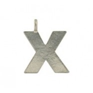 'X' Large Hanging Letter #X_LHL