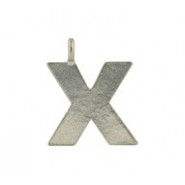 'X' Large Hanging Letter #X_LHL 'X' Large Hanging Letter #X_LHL